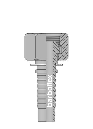 FÊMEA BSP (PORCA SOLTA)