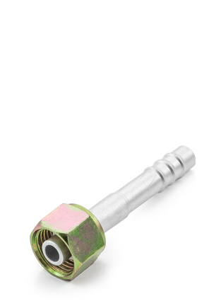 FÊMEAS BSP AC DIREITAS