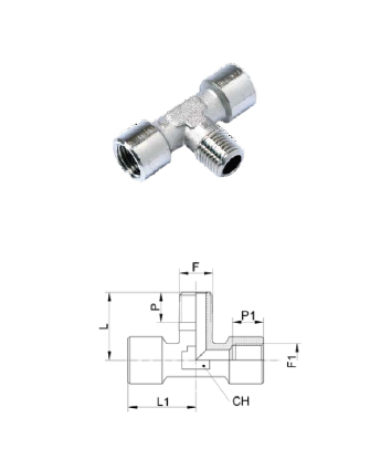TÊ FÊMEA FÊMEA MACHO CENTRAL