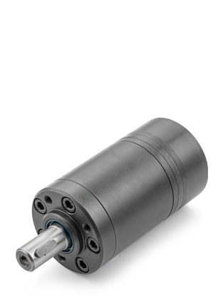 MOTORES TROCOIDAL (OMM)